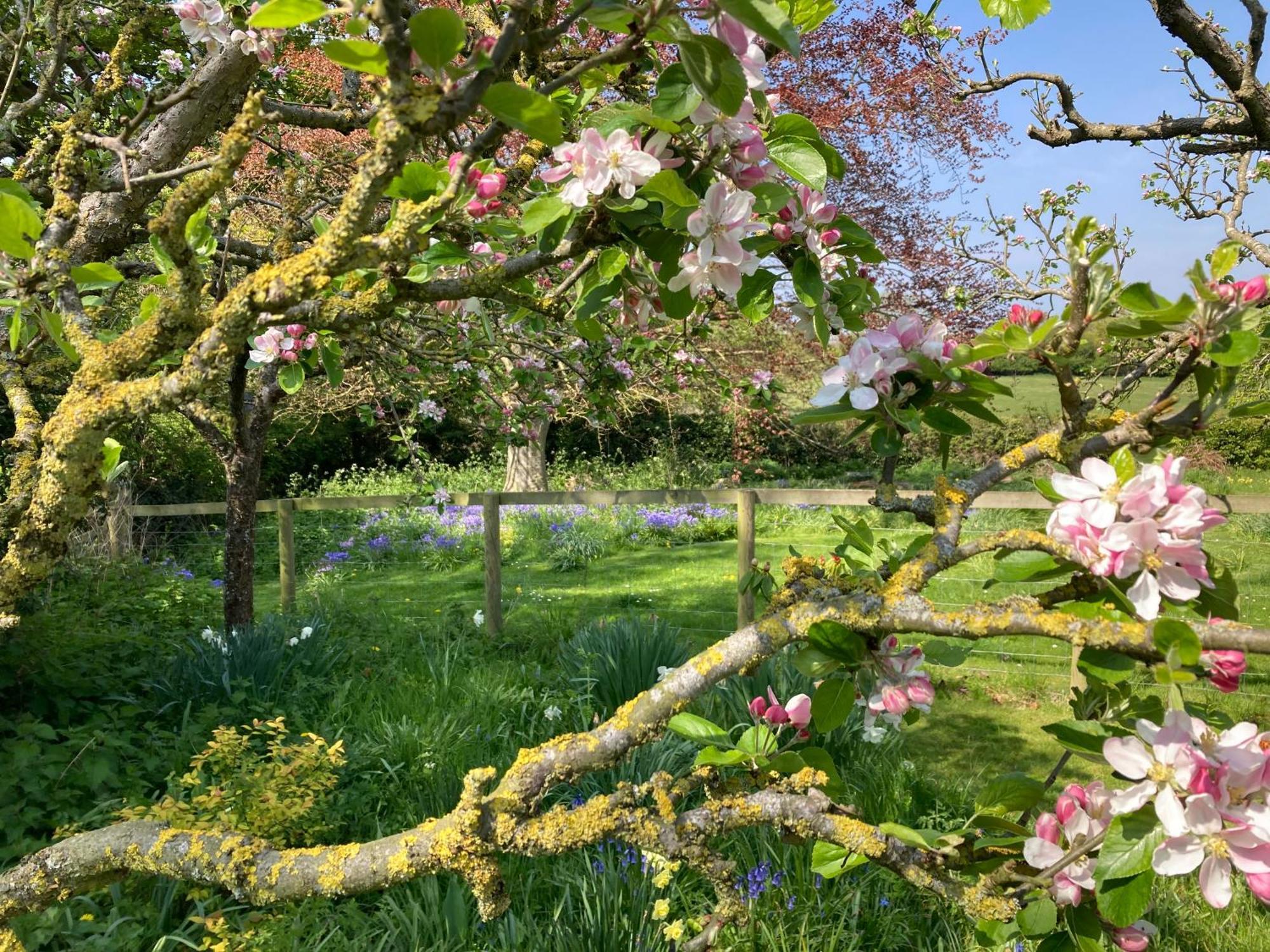 Villa Simpers Drift Saxmundham Exterior foto